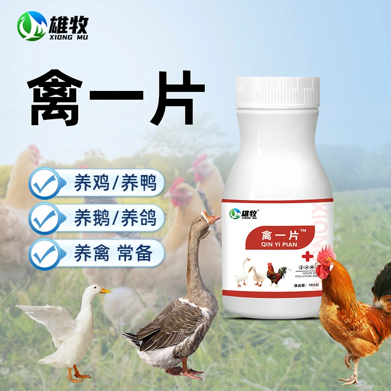 【雄牧】禽一片禽类养殖鸡鸭鹅养殖场家用通用使用产品