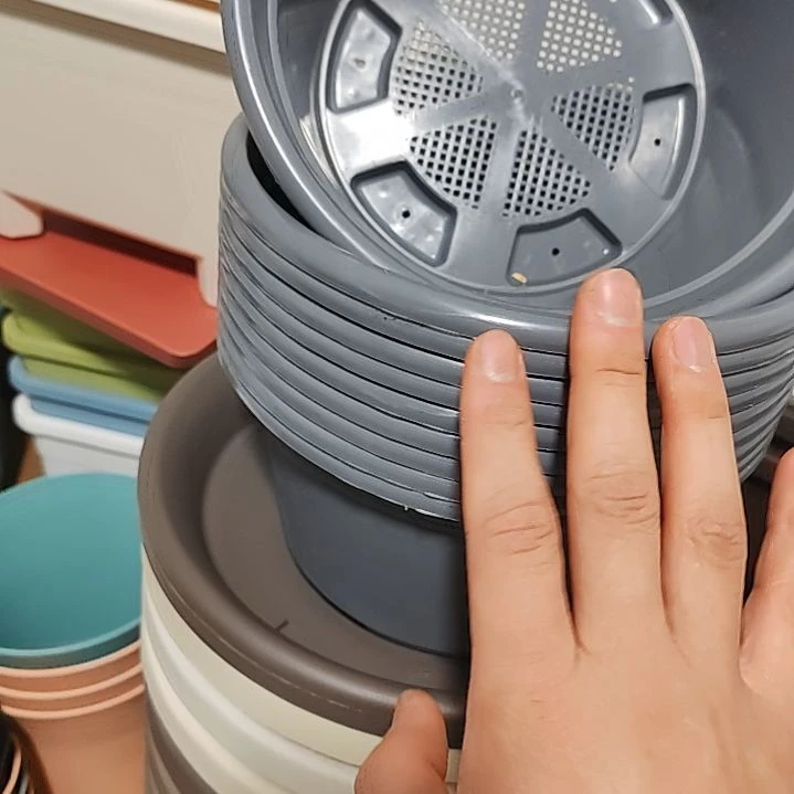 微瑕矮胖多肉盆 10 个颜色随机