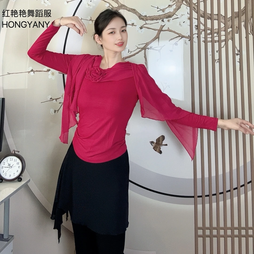 古典舞练功服女士摩登舞长袖飘逸网纱拼接跳舞上衣广场舞演出服