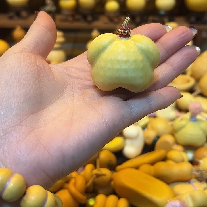 七****大叶紫檀（黑酸枝木类）