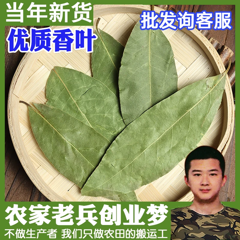正宗无熏硫自然晒干香料天然月桂叶香料调料卤料大全散装炖肉商用