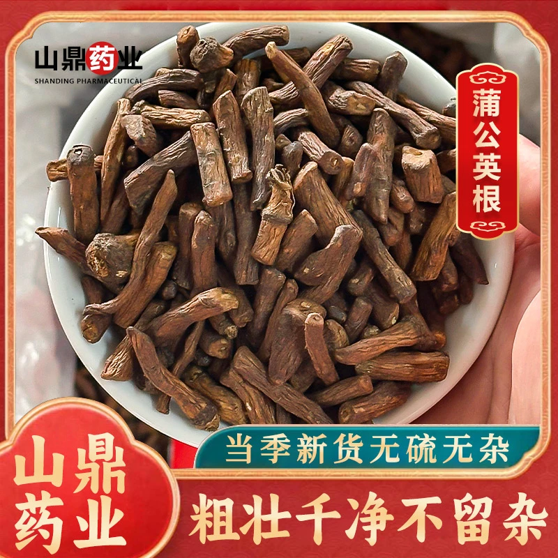 山鼎药业【蒲公英  蒲公英茶  蒲公英根】高品质公映 公英泡水泡茶