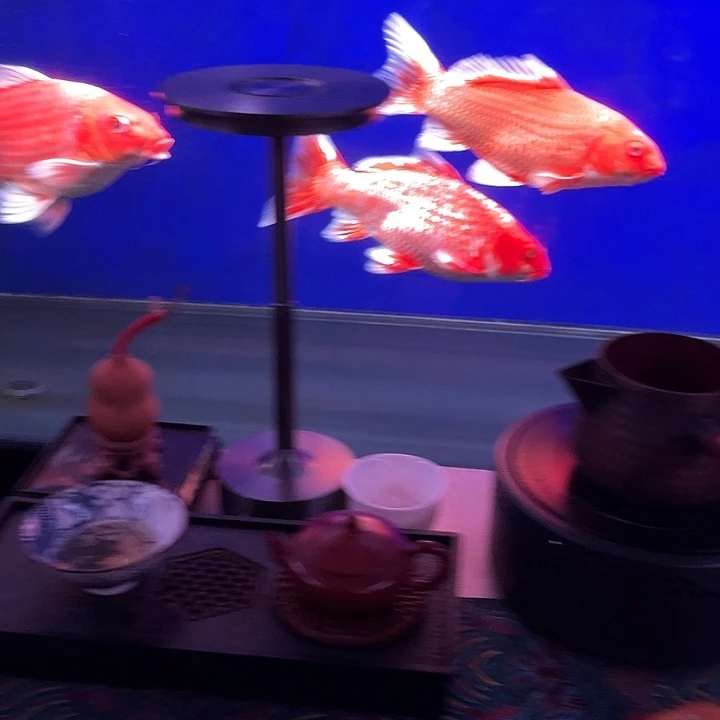 云***纯锦鲤锦鲤锦鲤锦鲤锦鲤