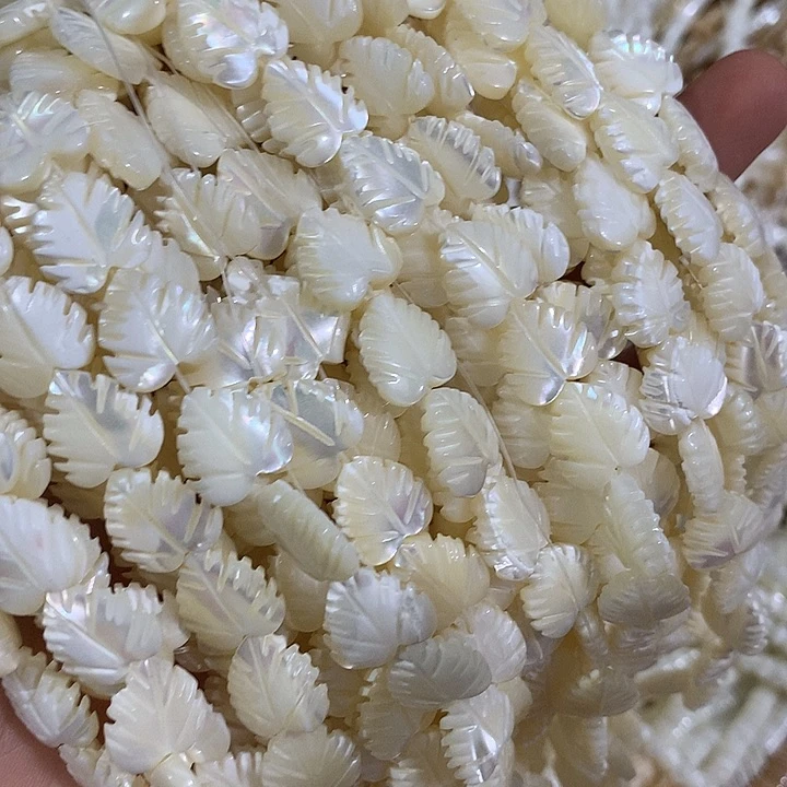 14颗马蹄螺雕刻树叶