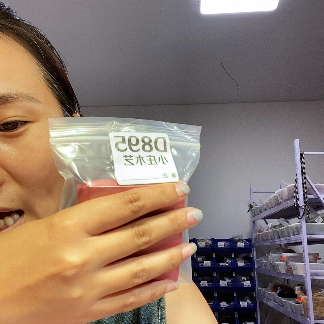 【闪购商品】行**至黑檀木895