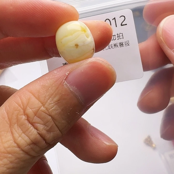 裸石琥珀未镶嵌琥珀