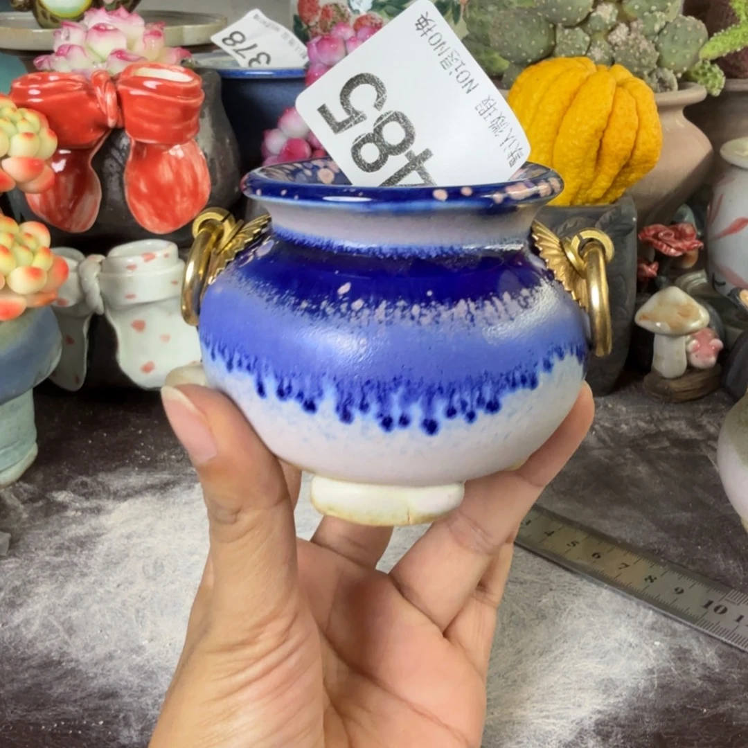 重庆小燕子欢迎大家485