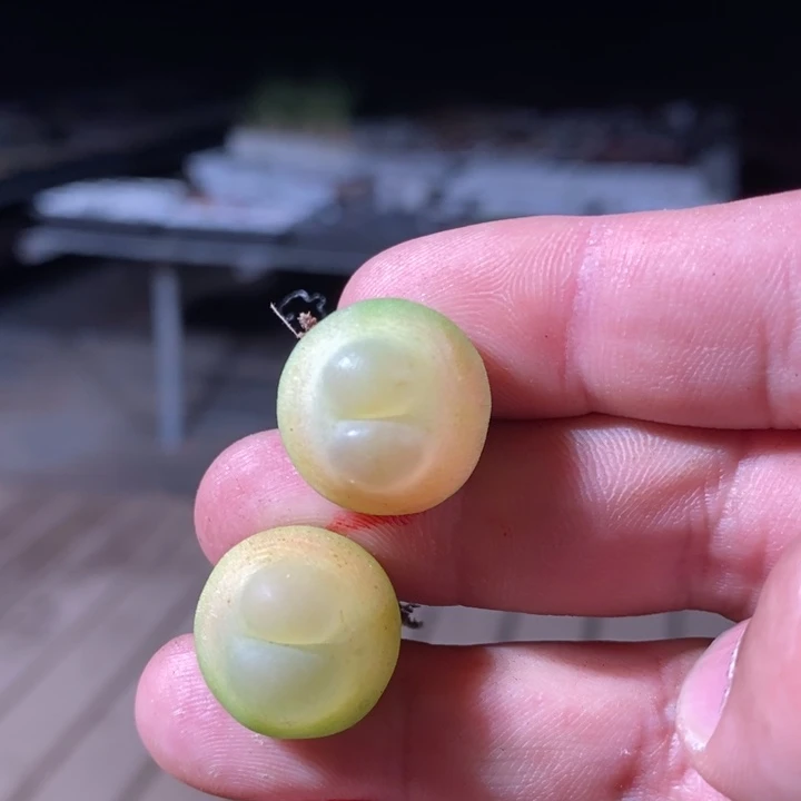 8126一组一组一组