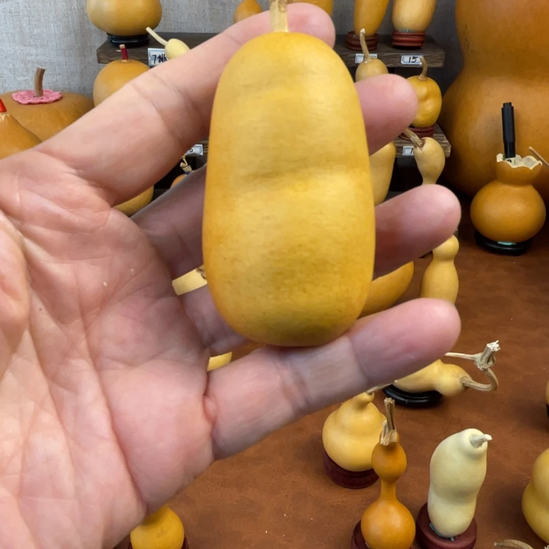 烫***面葫芦哈哈哈哈哈哈哈哈