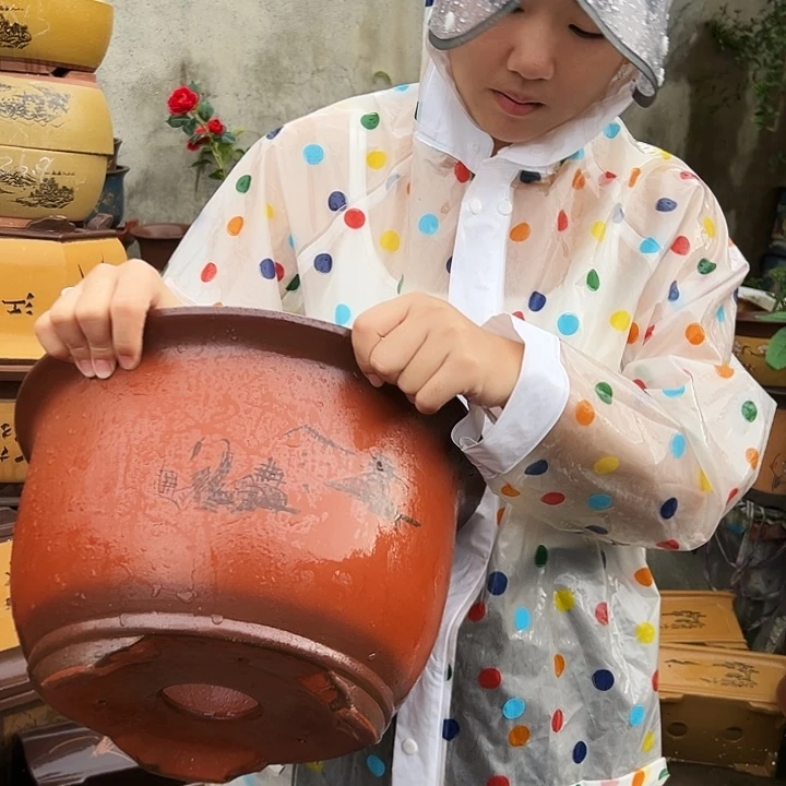 30紫气东来花盆花盆花盆