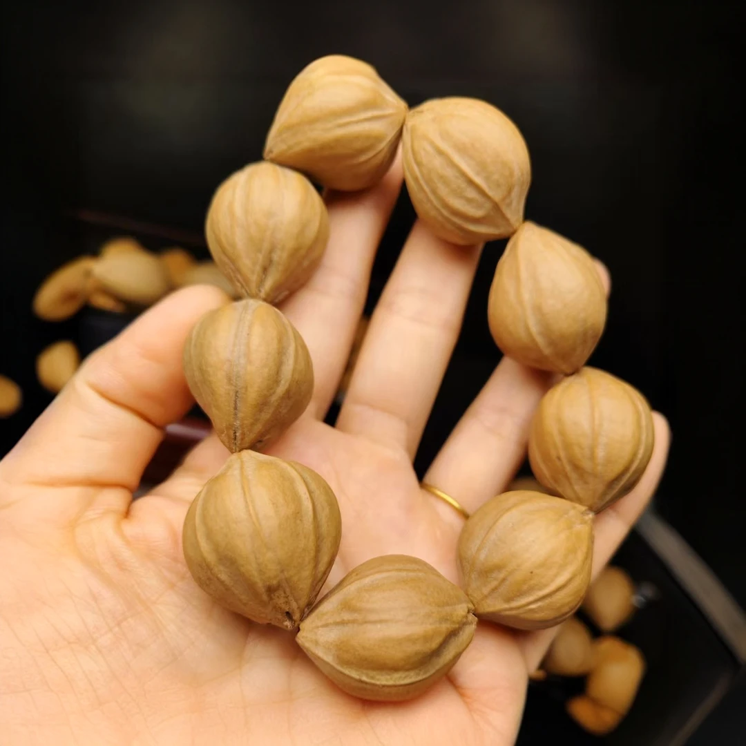 精品橄榄核大籽素核四花2.4