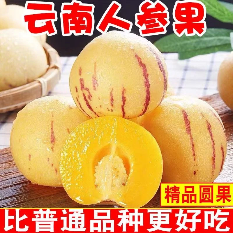 云南石林人参果树上熟圆大果黄肉清甜多汁当季新鲜水果r