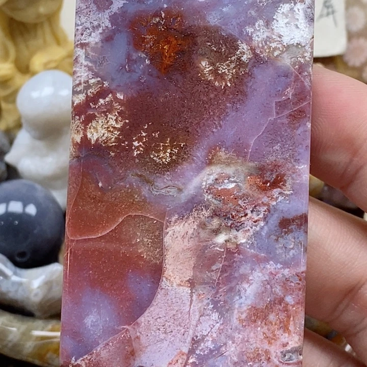 颈饰未镶嵌硅化珊瑚（珊瑚玉）有瑕