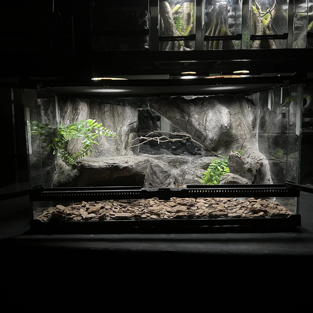 爬宠造景缸睫角守宫树栖睫角饲养箱爬宠爬虫缸