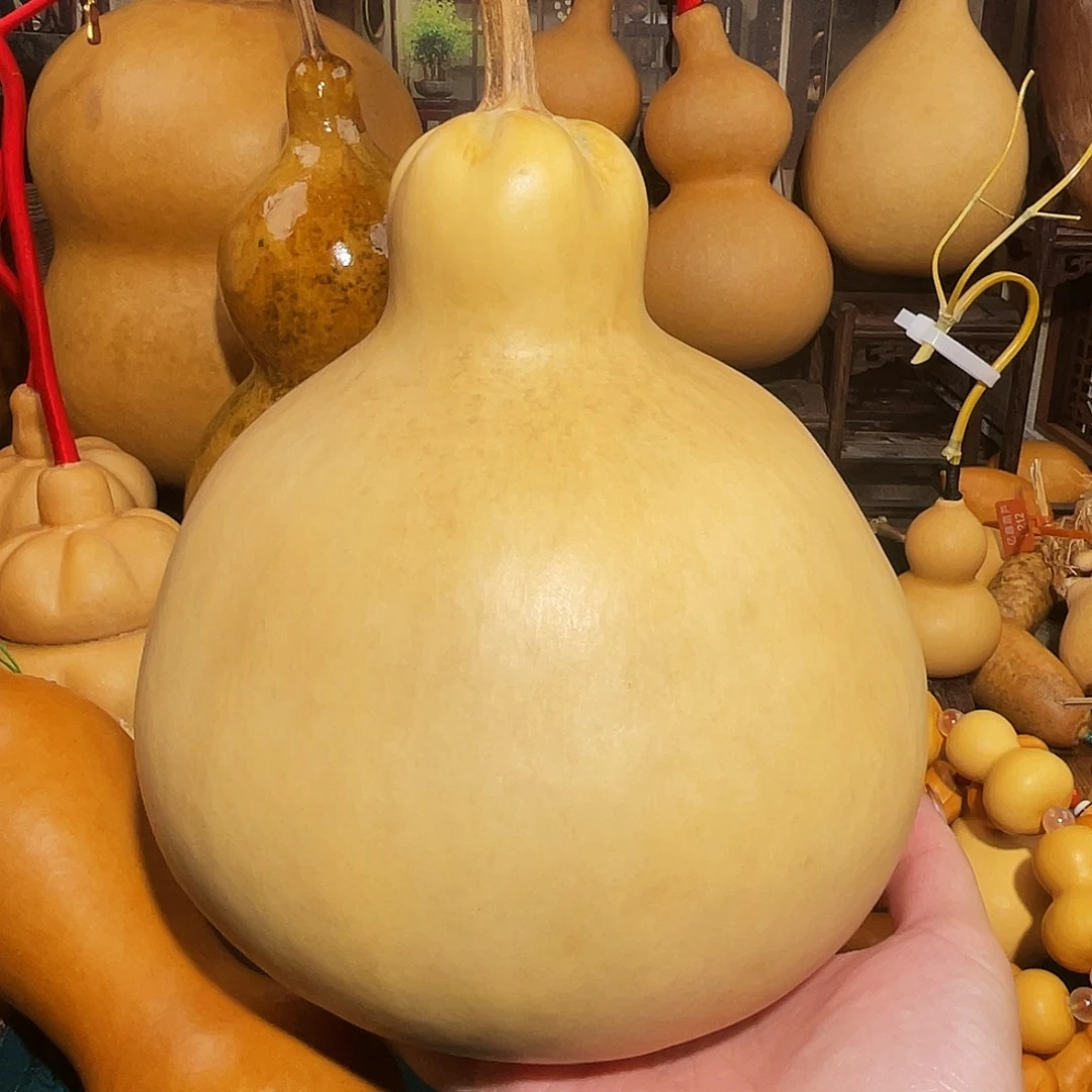 葡***吃葫芦呀呀呀呀呀呀呀呀呀啊呀呀