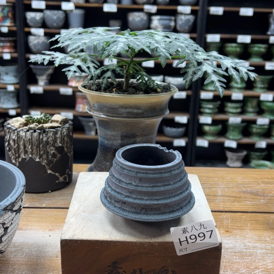 素八九陶瓷内口5.5高6.5