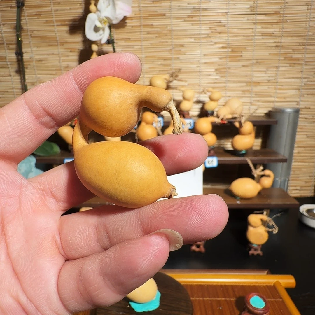 菠***酸大叶紫檀（黑酸枝木类）