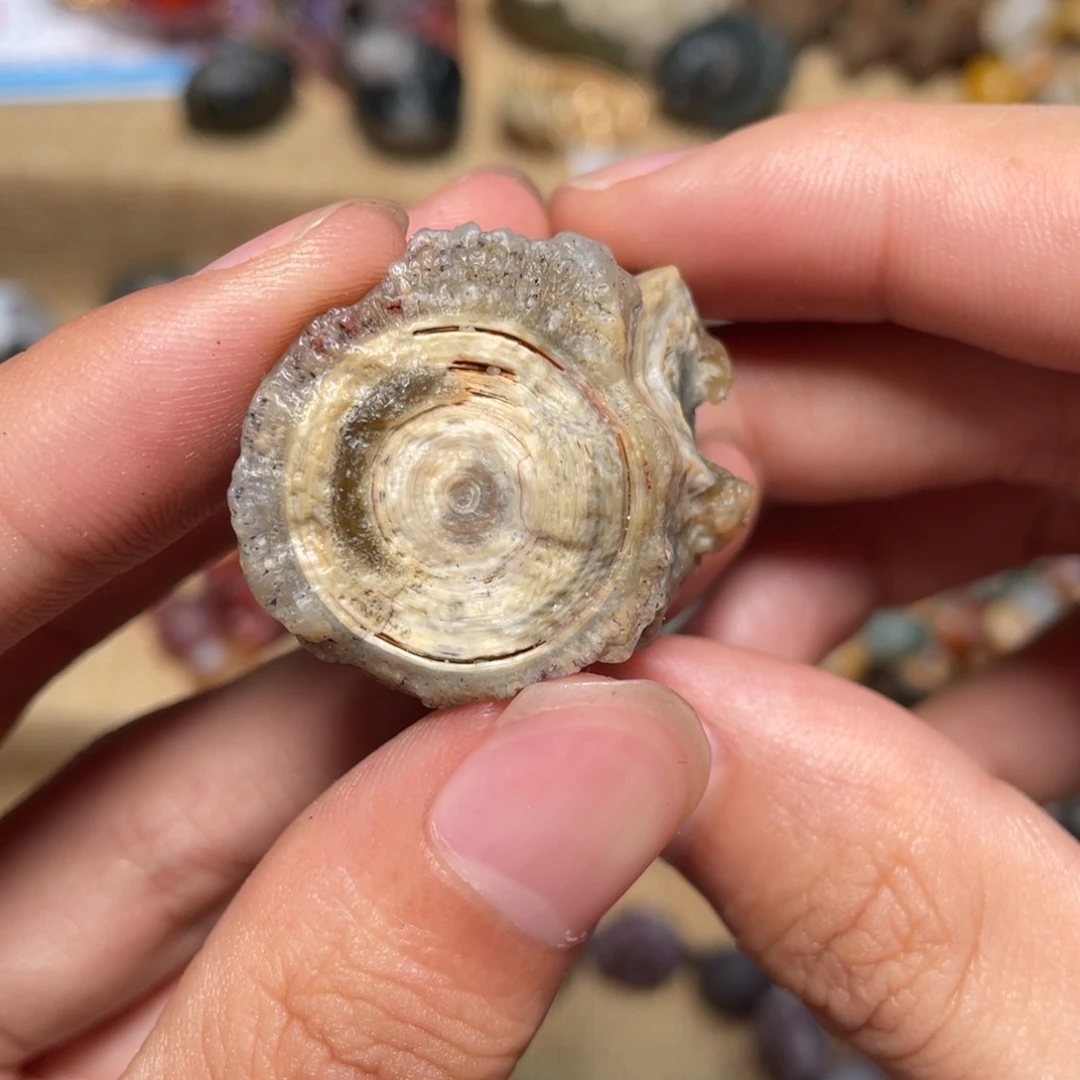 玛瑙/玉髓手链未镶嵌