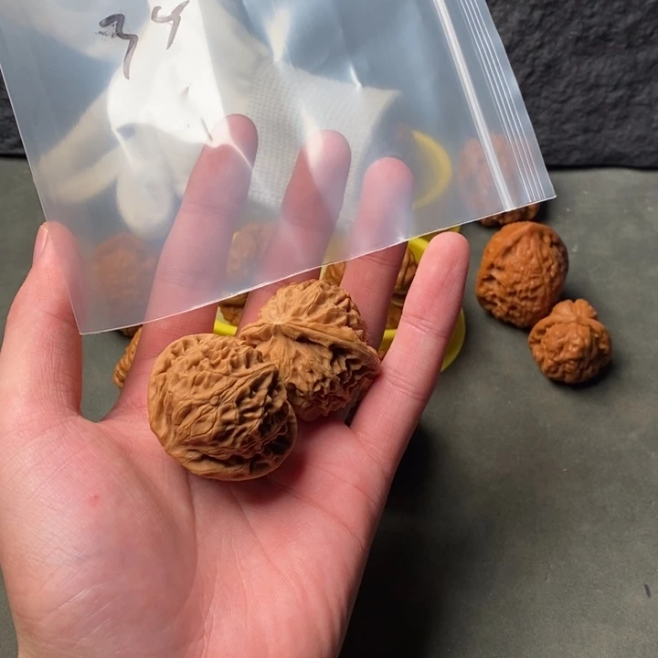 核桃等经济林果地的