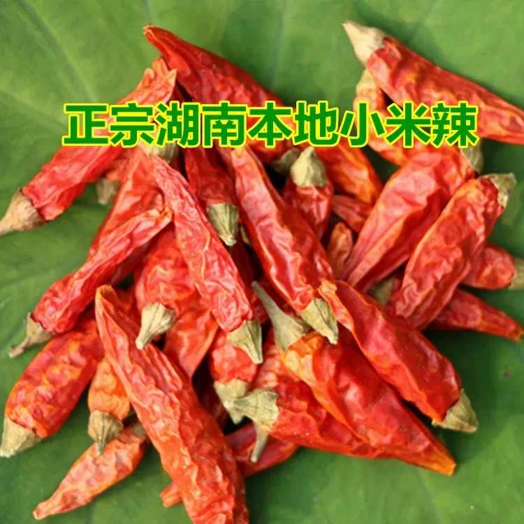 湘西本地野山椒干辣椒/500g