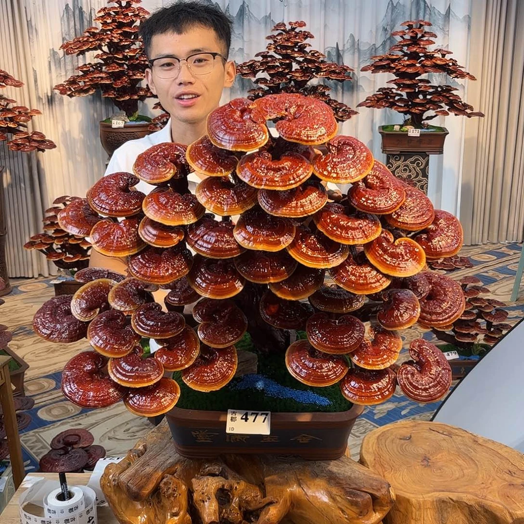 无花朵8888888888888