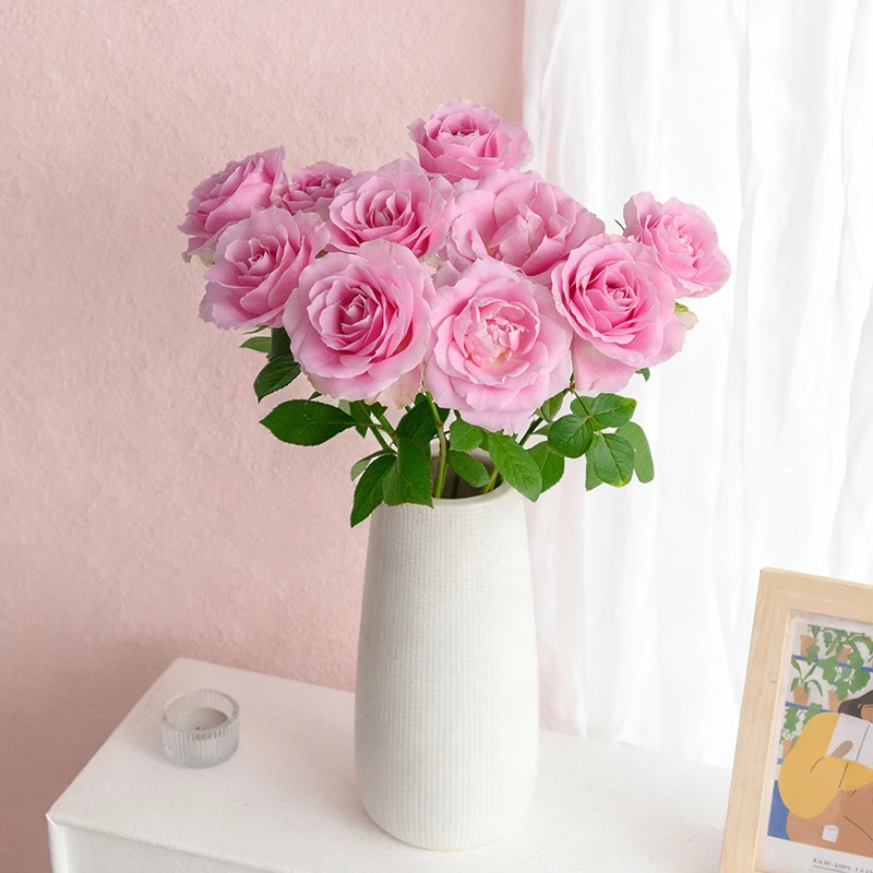 单头玫瑰随机色10枝【盲盒】