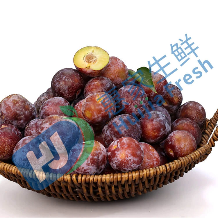 【精选整果】脆红李 约500g