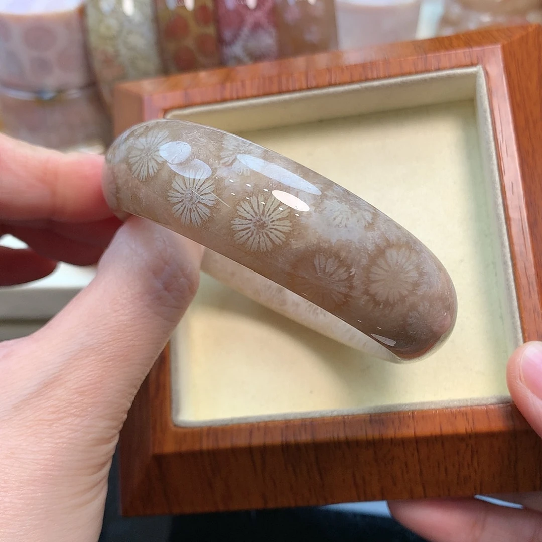 未镶嵌手镯硅化珊瑚（珊瑚玉）57.6口800