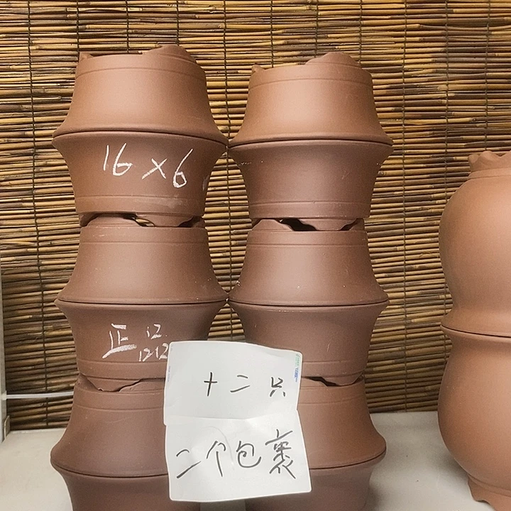 紫砂花盆我在外面