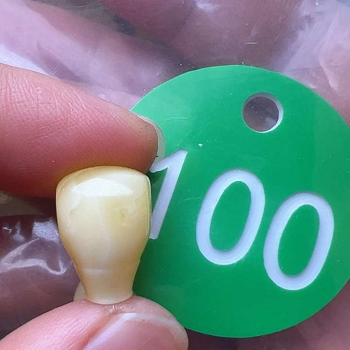 蜜蜡裸石未镶嵌小*物10m m