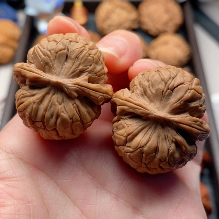 文玩核桃把件龟甲纹全品