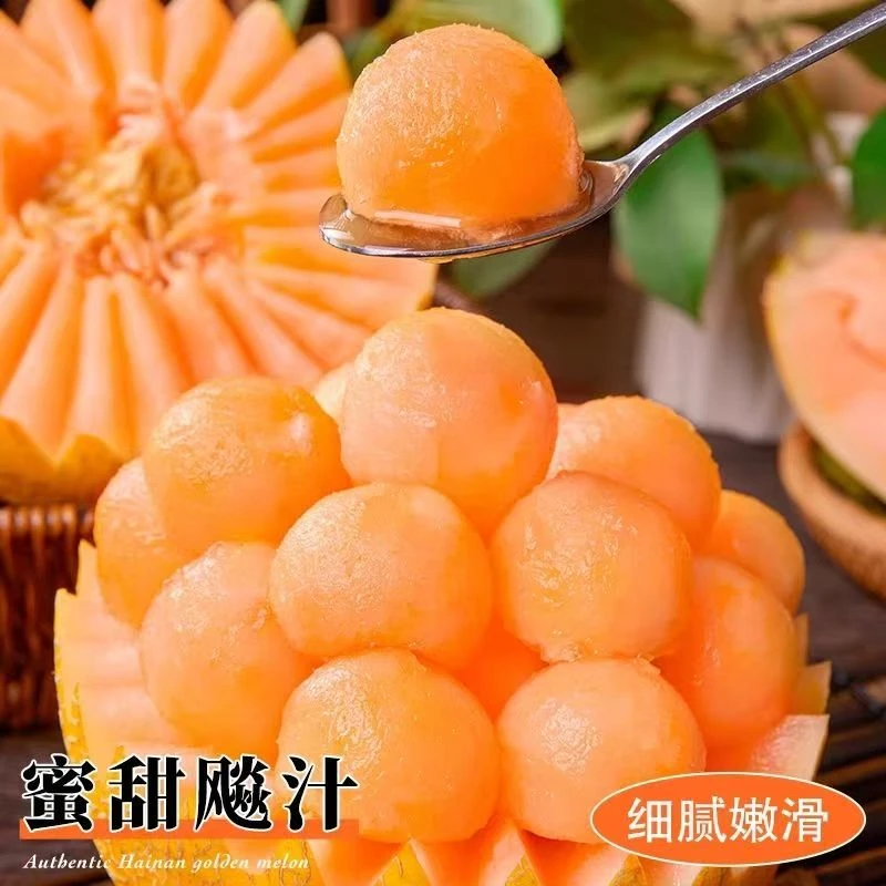 【山东头茬】正宗黄金哈密瓜甜瓜应季水果脆甜
