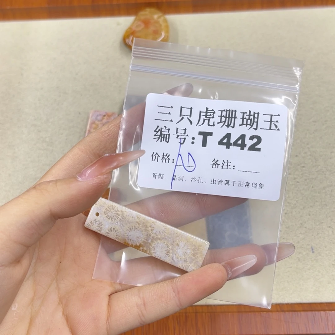 别***聒硅化珊瑚（珊瑚玉）h未镶嵌