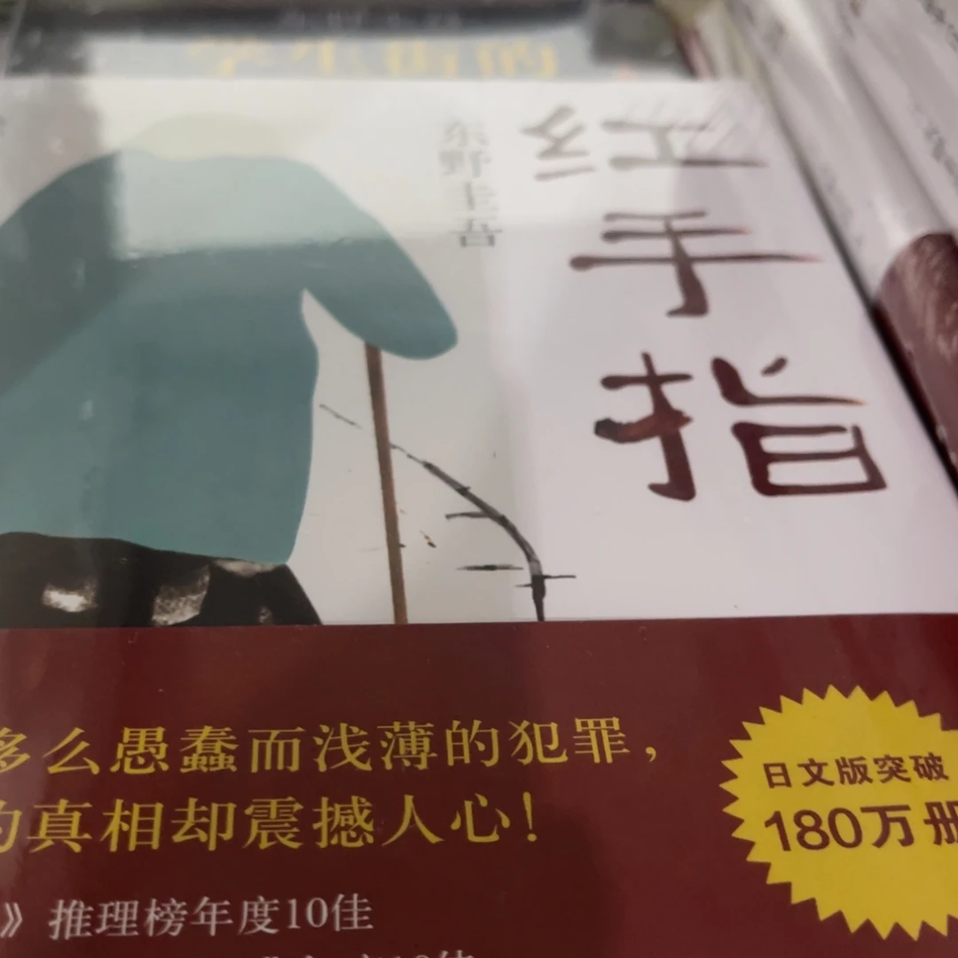 红手指精装一个人