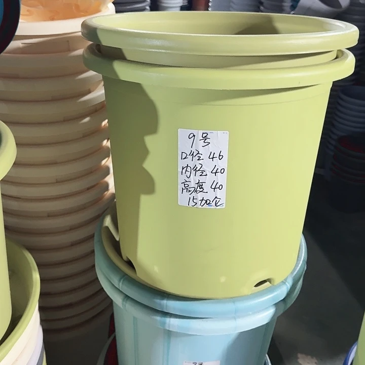 微瑕9#口径46果绿3个无托