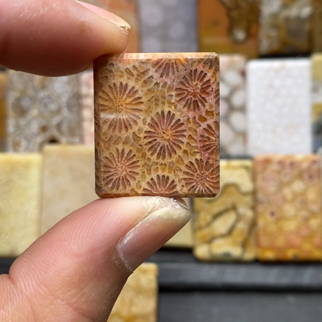 小****硅化珊瑚（珊瑚玉）合金1