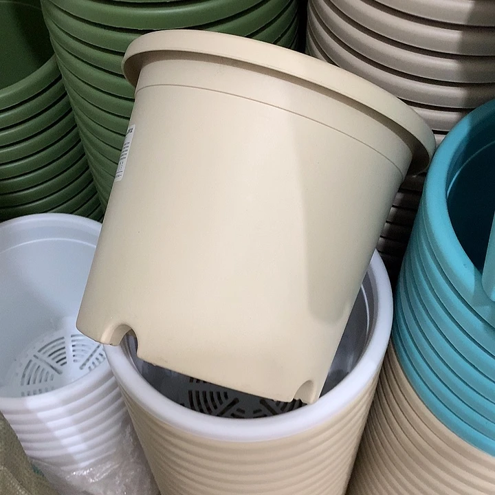 四季口25高21.5米黄5个