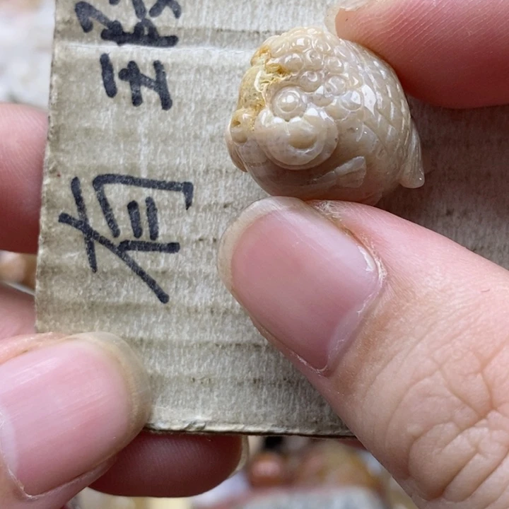 硅化珊瑚（珊瑚玉）未镶嵌颈饰九*小