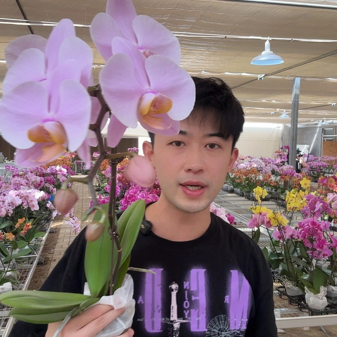 完全开放萨利纳斯