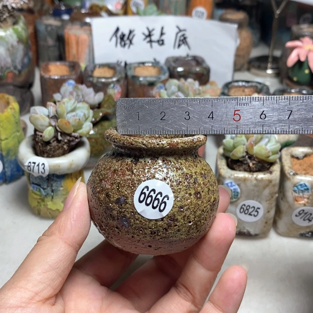 拍5送一个小礼物