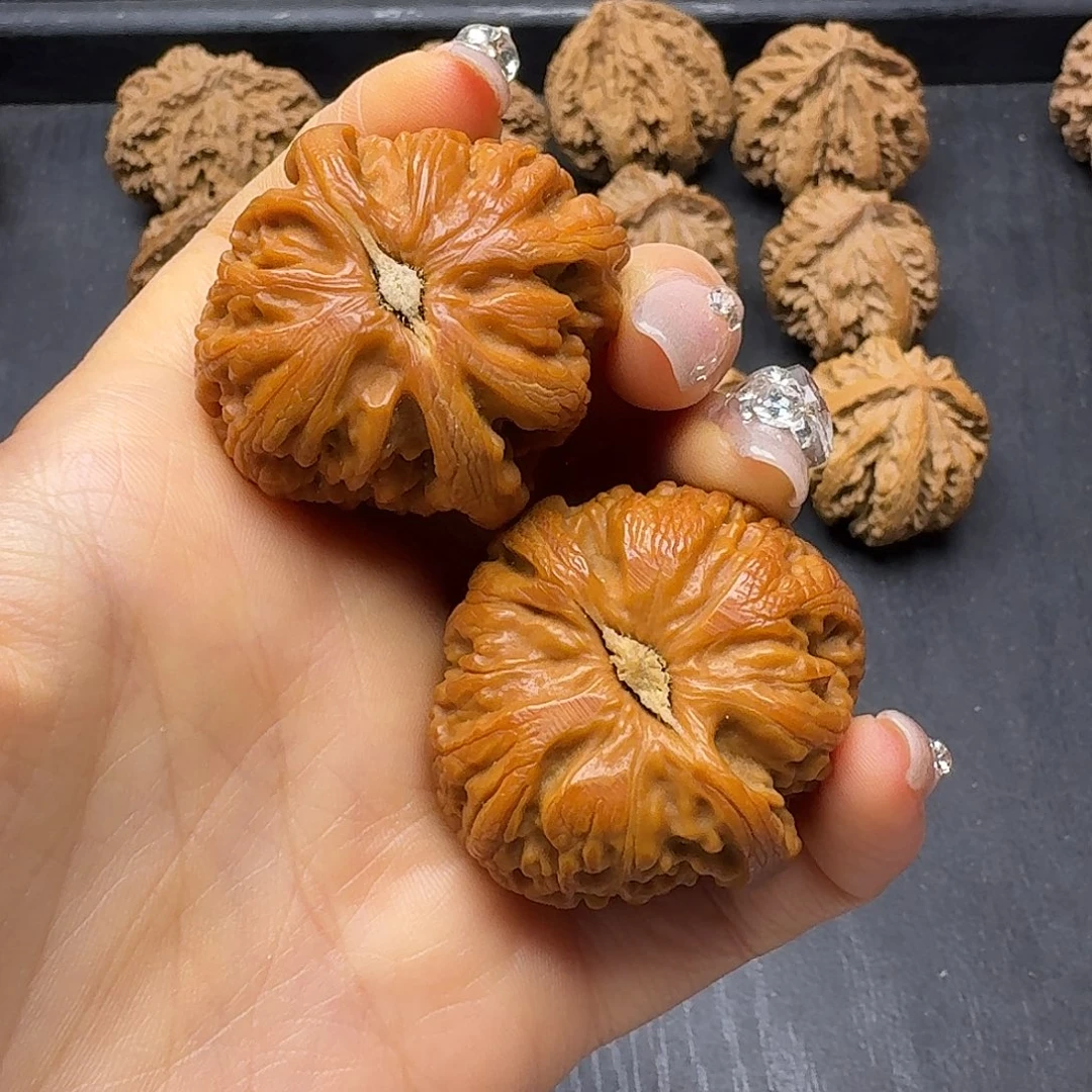 V****木质突突突突突突