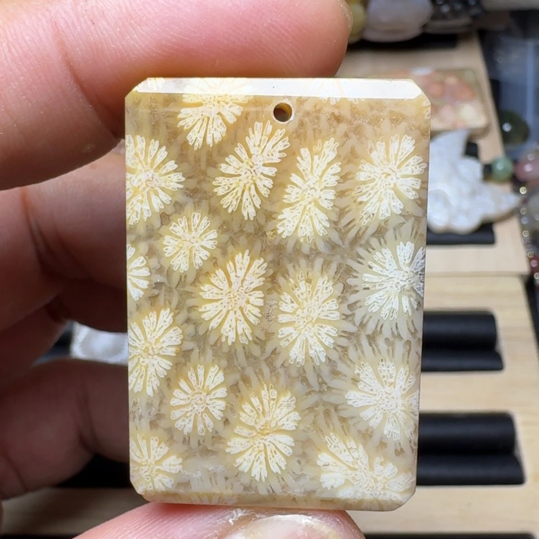 未镶嵌纯天然色有机玉石保真色硅化玉