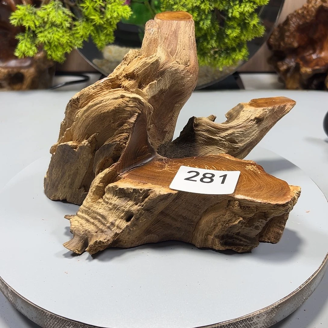 大果紫檀（缅甸花梨）喜*