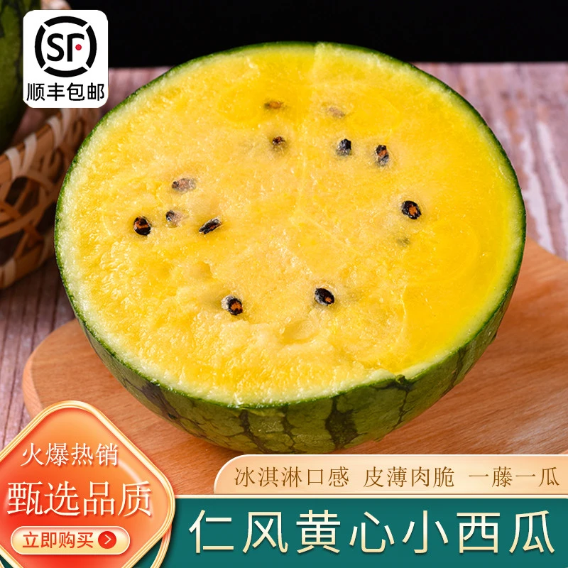 山东仁风西瓜黄瓤西瓜一藤一瓜新鲜现摘多汁甜美薄皮水果3斤 顺丰