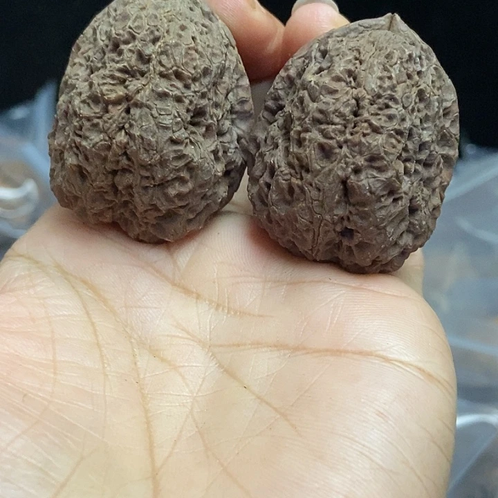 把件文玩核桃云南铁核桃基地63