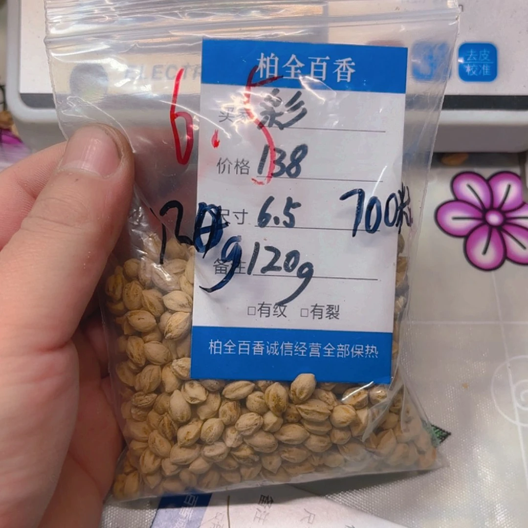 ?**?柏香籽散子 120 克散子