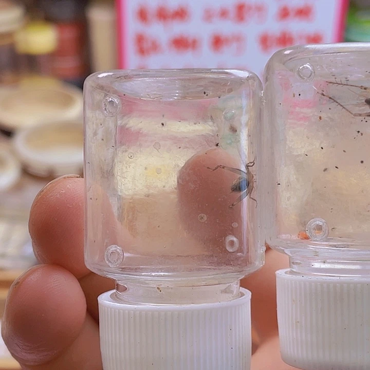 男***、暗端蛉2啊啊啊啊啊啊啊