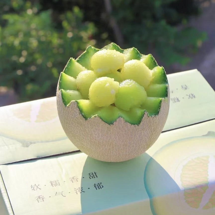 【顺丰包邮】山东海阳网纹瓜4斤软糯香甜2枚装