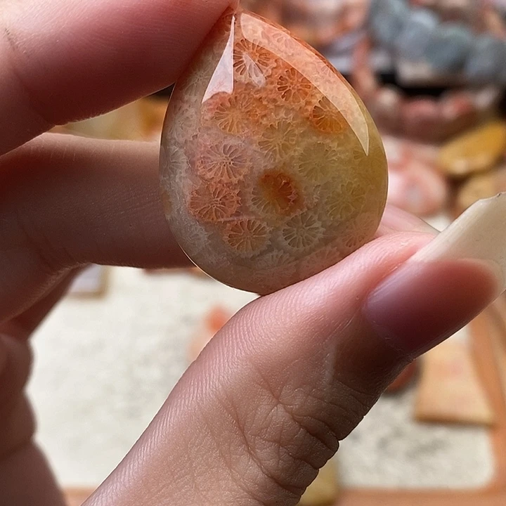 鱼***鱼硅化玉（树化玉）未镶嵌颈饰