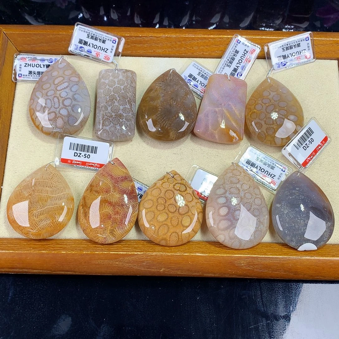 硅化珊瑚（珊瑚玉）未镶嵌吊坠(赠链)62号吊坠50一个